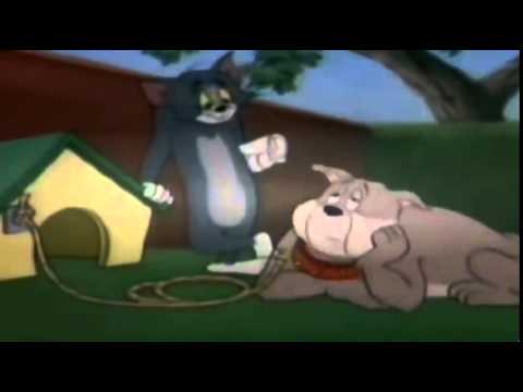 tom and jerry hanna barbera full episodes torrent
